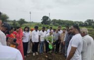 येडगाव येथे वृक्षरोपण कार्यक्रम संपन्न